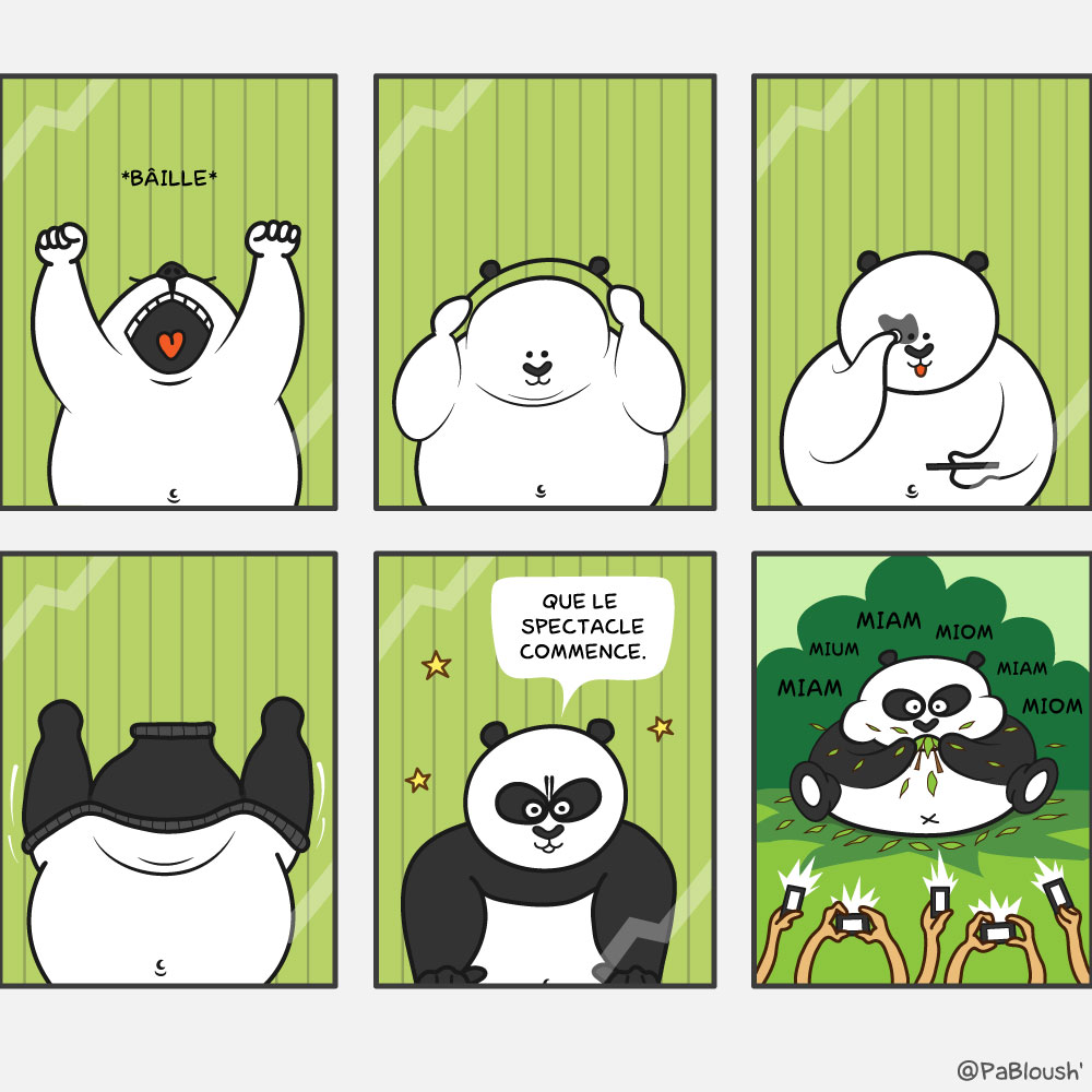 star-panda-bd-humour